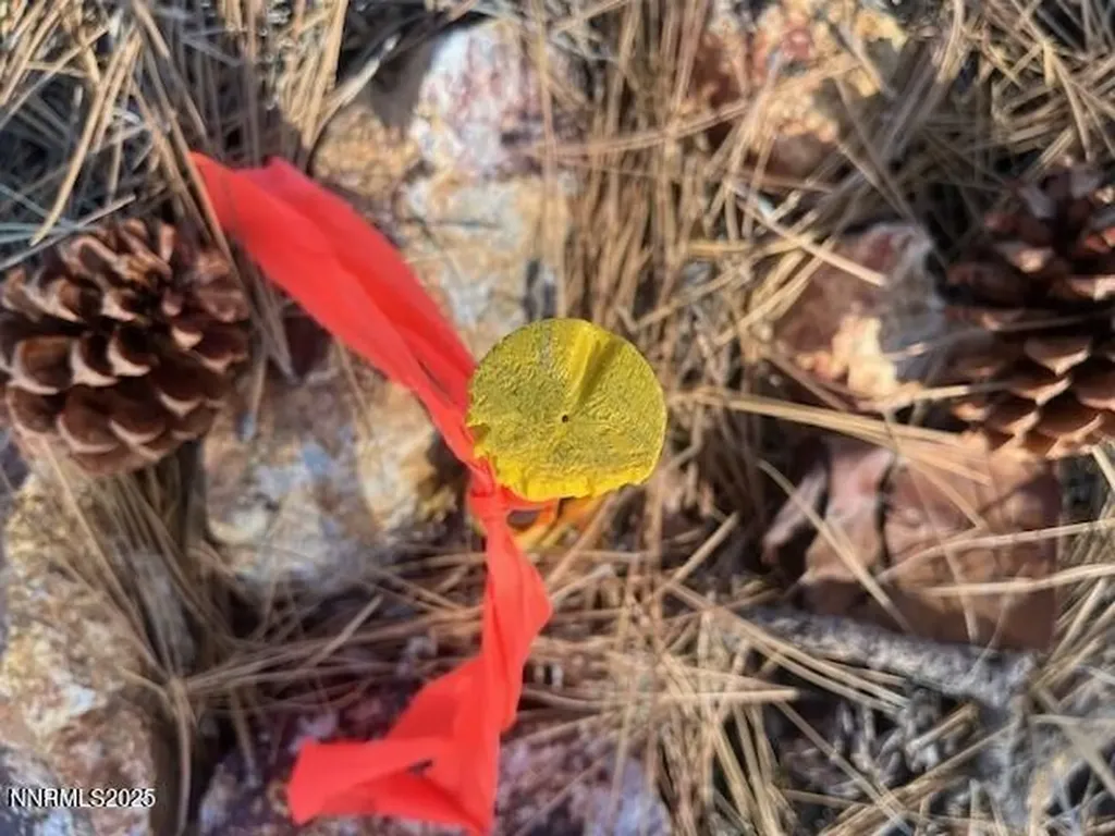 0 Buckeye, Off Of Virginia City NV 89440