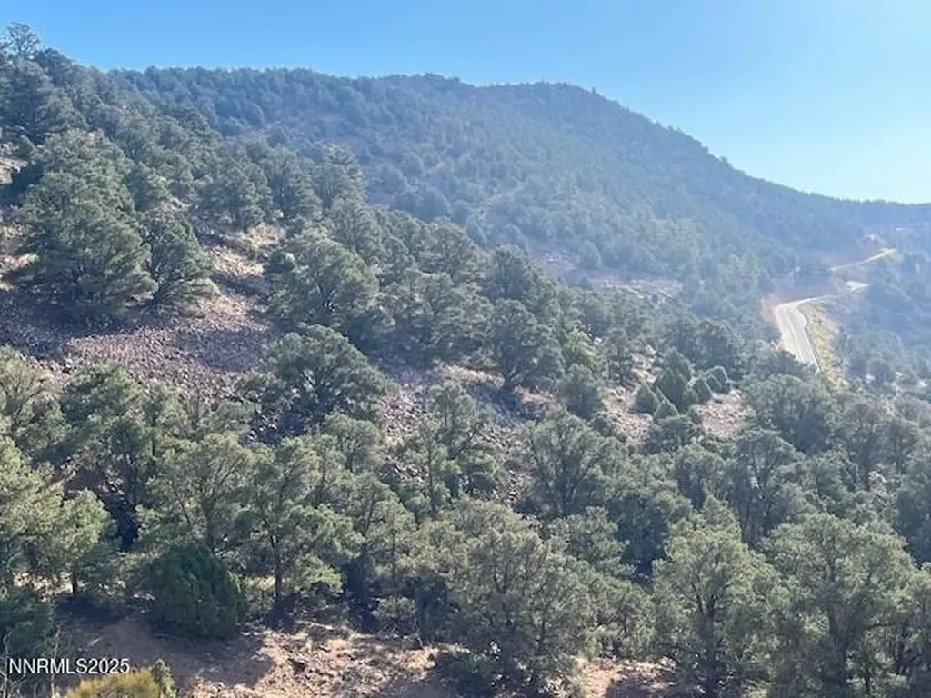 0 Buckeye, Off Of Virginia City NV 89440