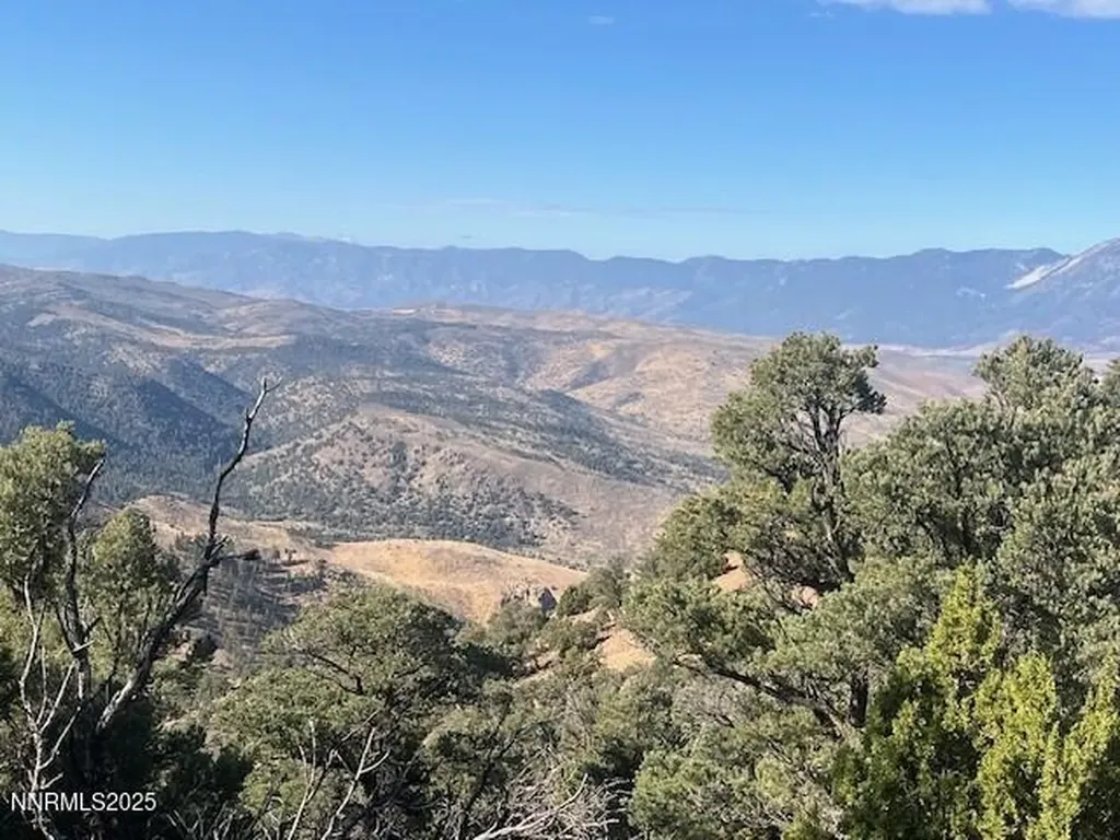 0 Buckeye, Off Of Virginia City NV 89440
