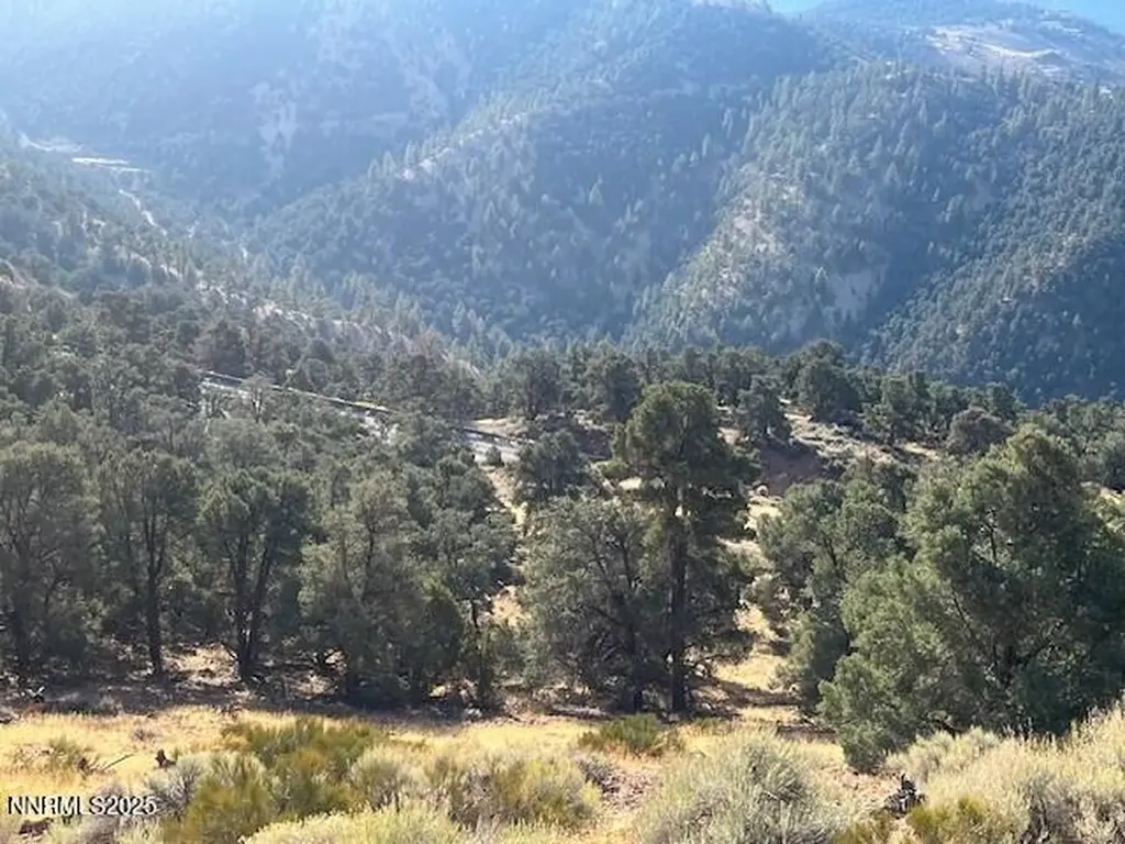 0 Buckeye, Off Of Virginia City NV 89440