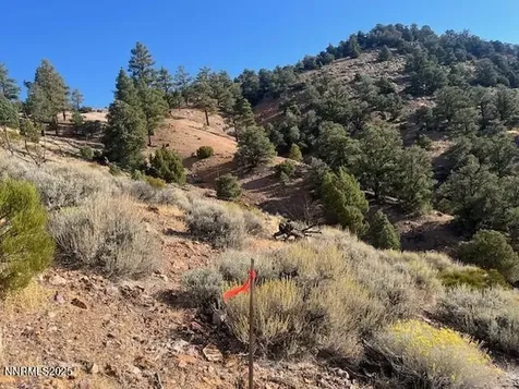 0 Buckeye, Off Of Virginia City NV 89440