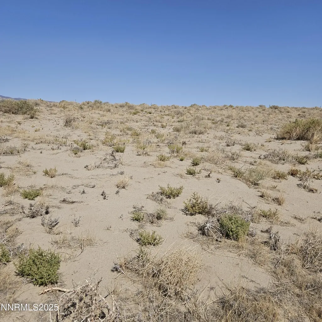 1590 Badger Silver Springs NV 89429