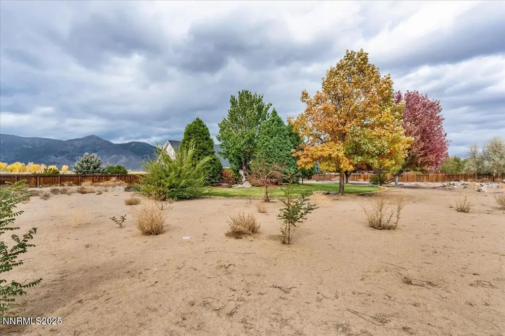 2639 Wildhorse Minden NV 89423