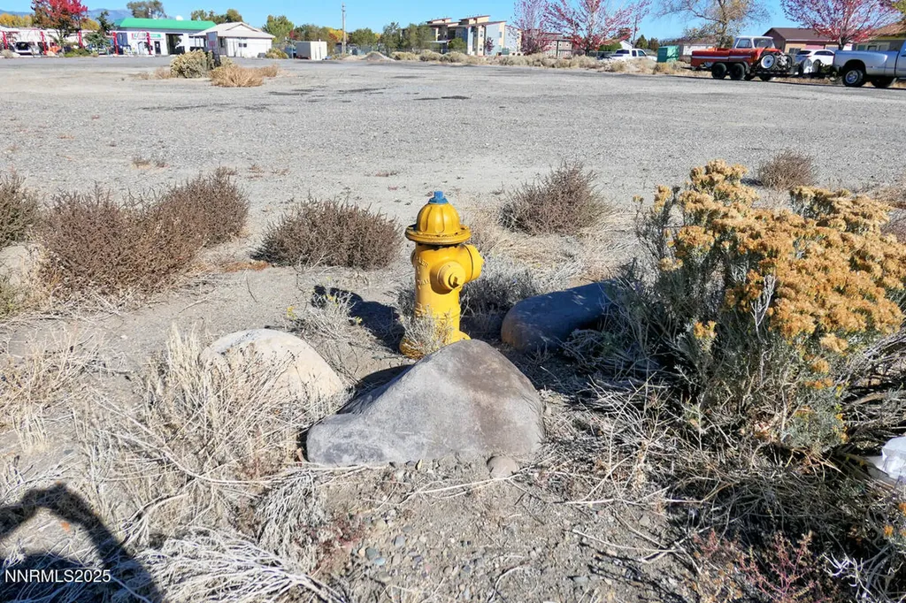 1277 U.s. Highway 395 Gardnerville NV 89410