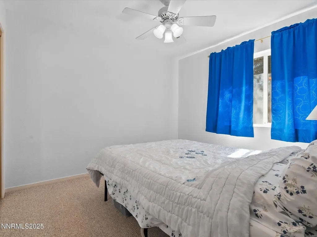397 Nader Fernley NV 89408
