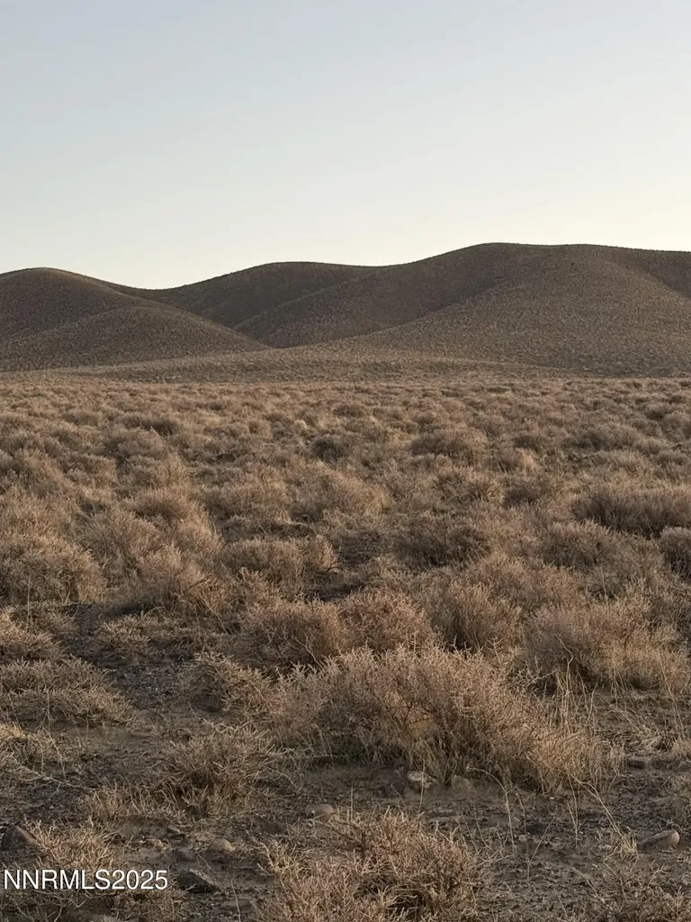 30-20-25 Fr Nw4 Parcel 8 Fernley NV 89408