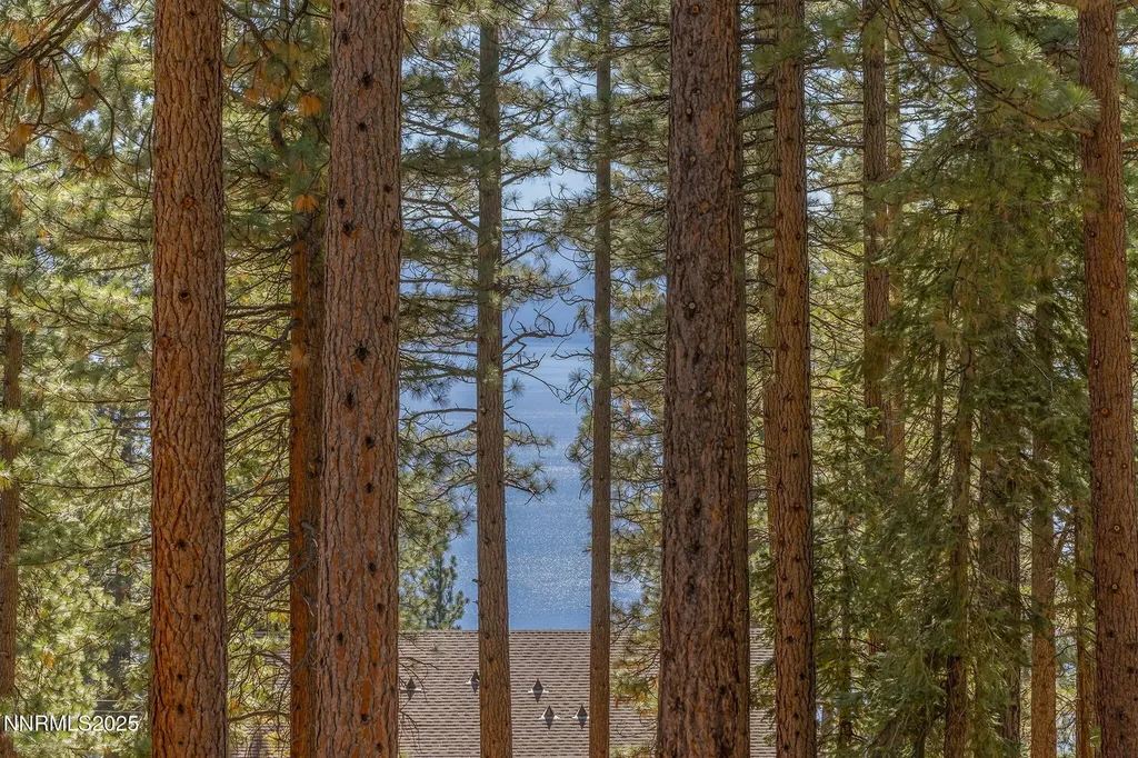 563 Tyner Incline Village NV 89451