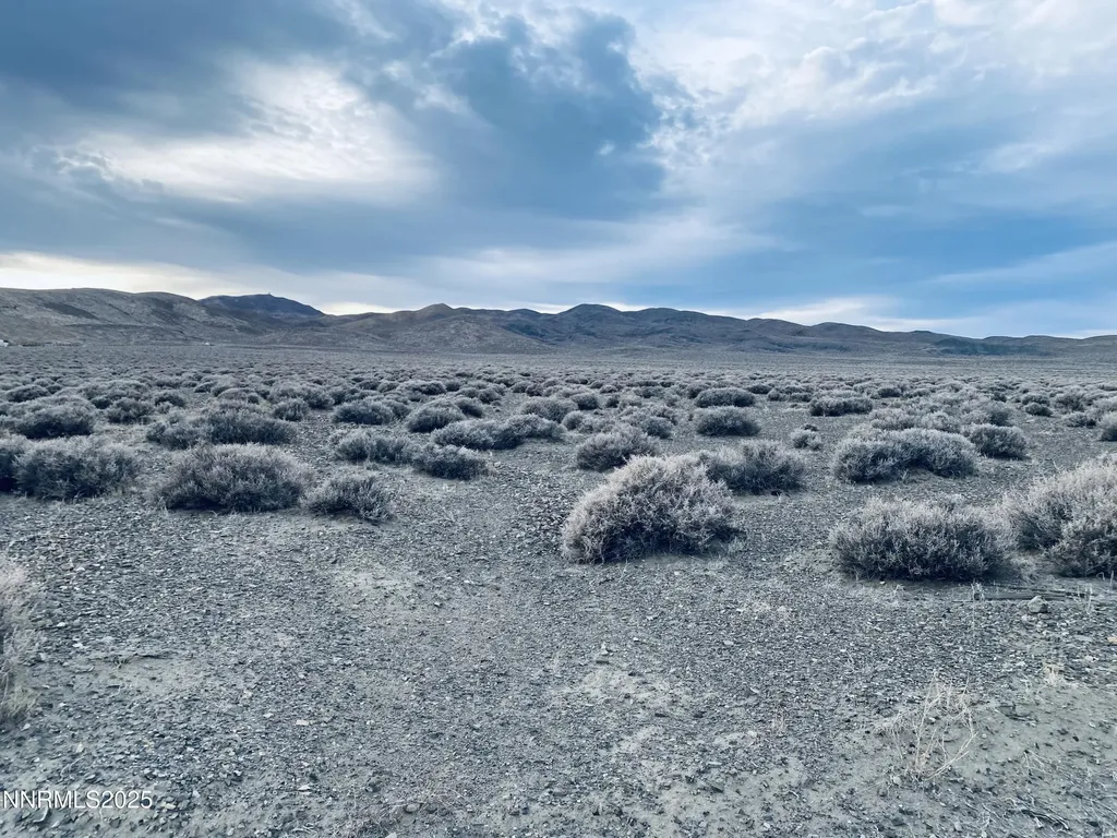 6815 S Highway 95a Silver Springs NV 89429