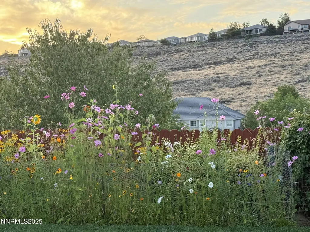 1792 Braidwood Sparks NV 89436