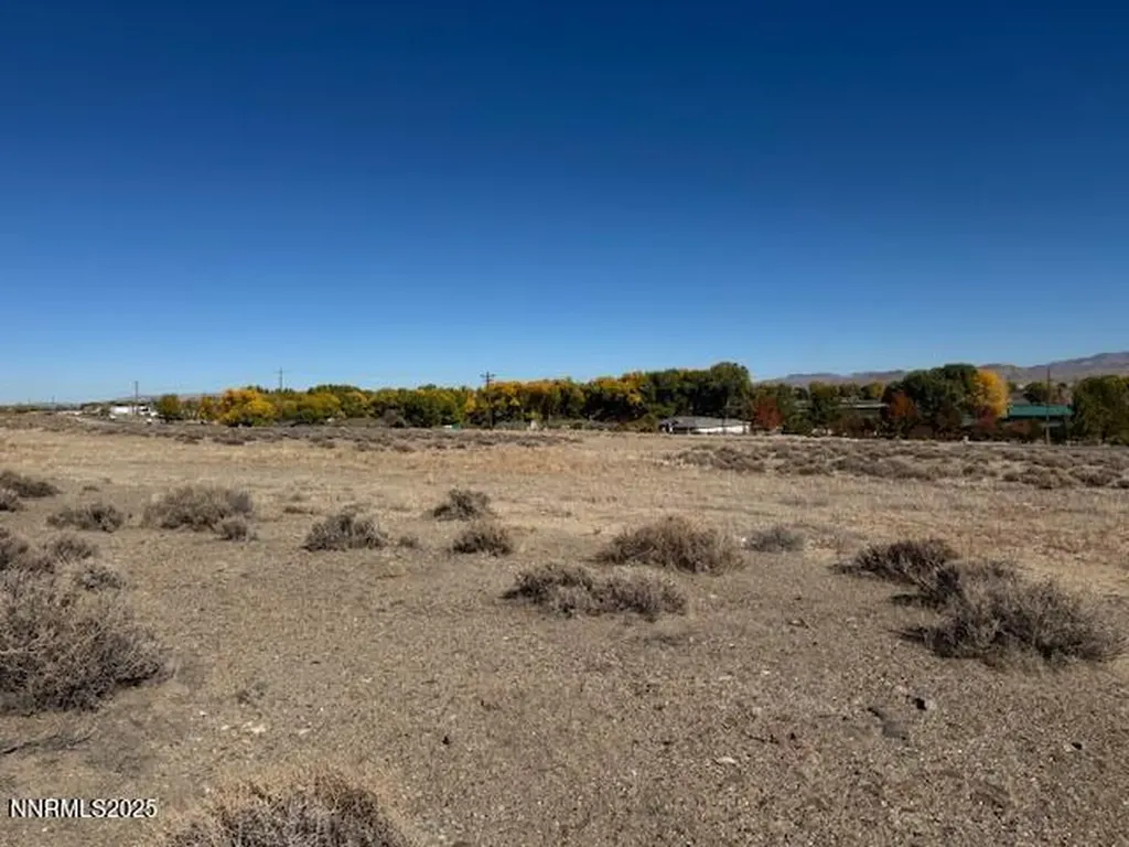 225 Nv-339 Yerington NV 89447