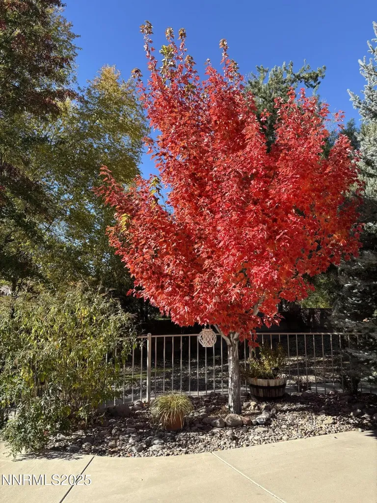 488 Sierra Leaf Reno NV 89511