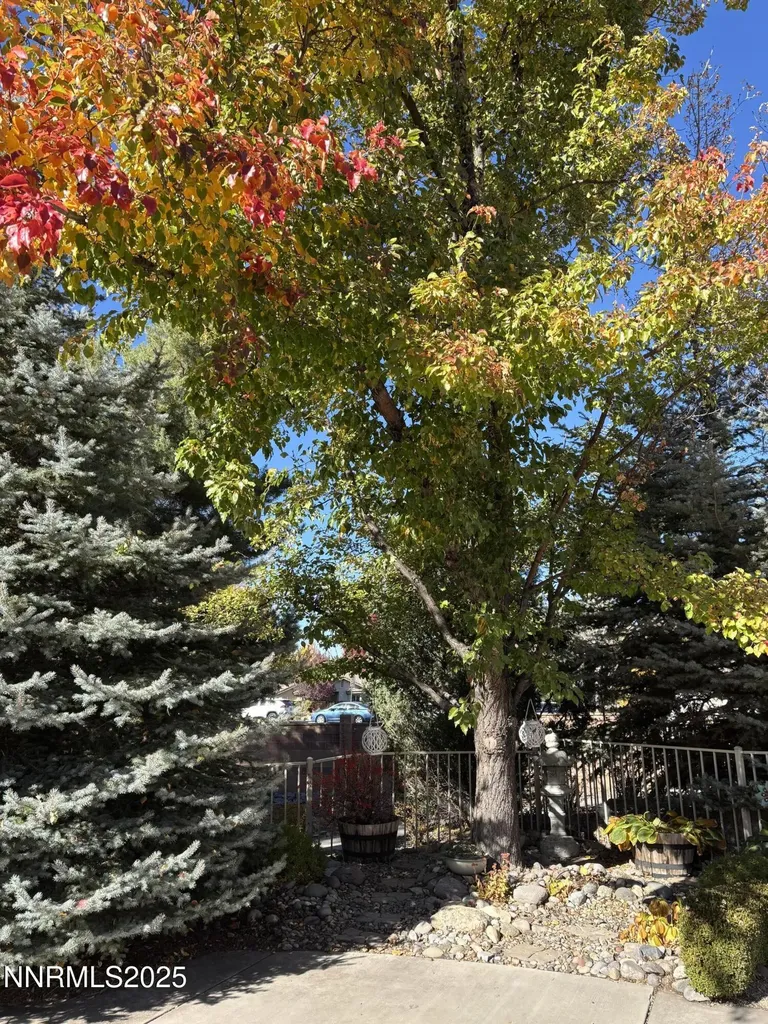 488 Sierra Leaf Reno NV 89511
