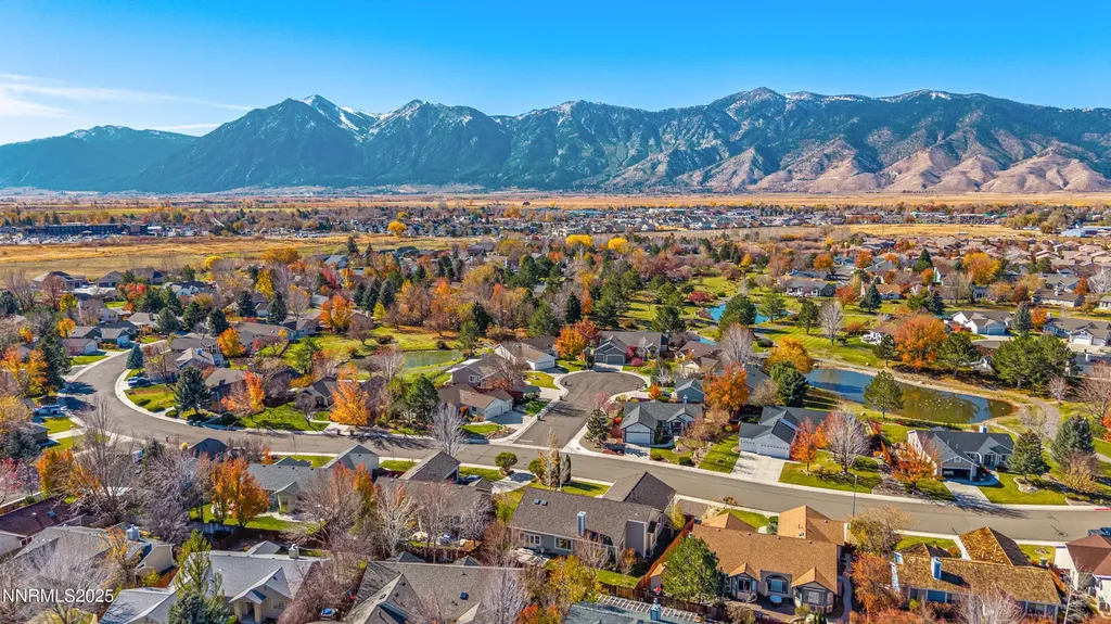 1105 Wisteria Minden NV 89423