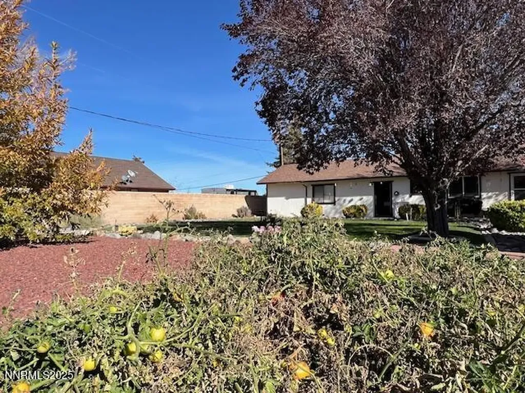 71 Nv-208 Yerington NV 89447