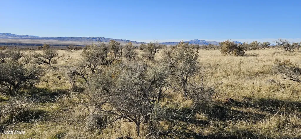12605 Minden Lovelock NV 89419