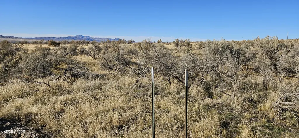 12605 Minden Lovelock NV 89419