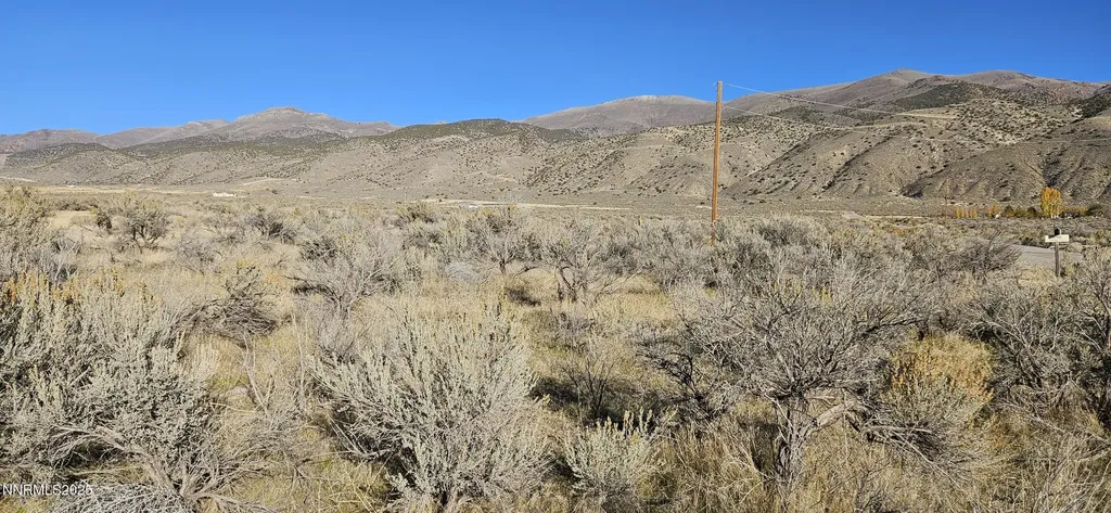 12605 Minden Lovelock NV 89419