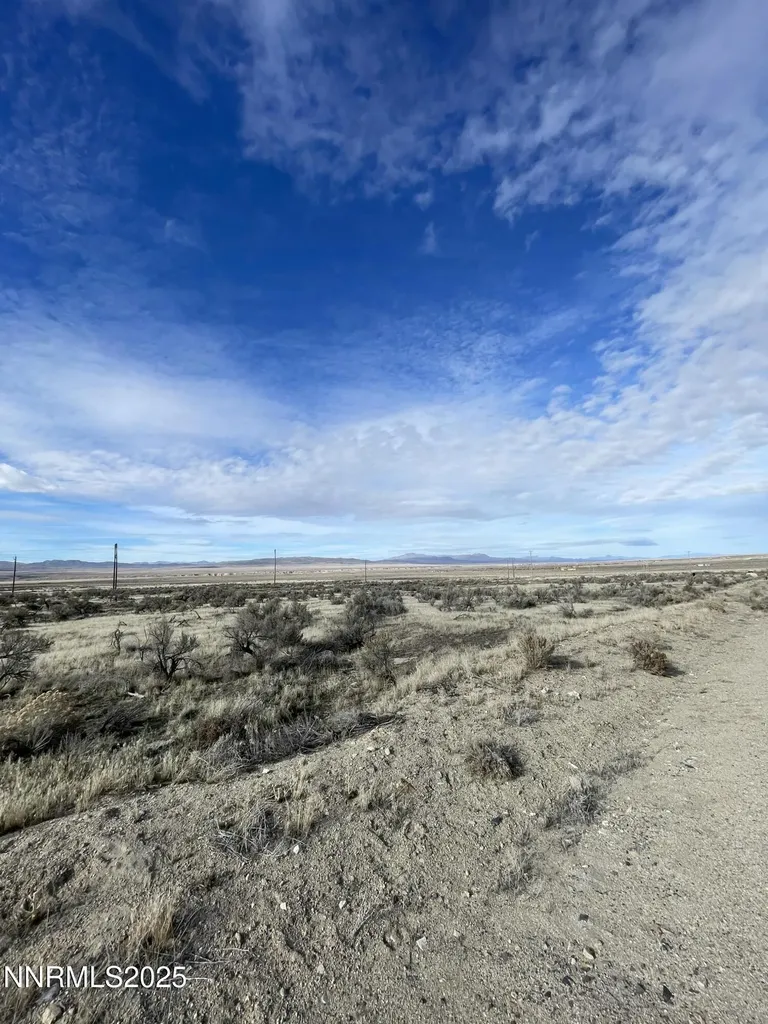 21785 Kush Court Lovelock NV 89419
