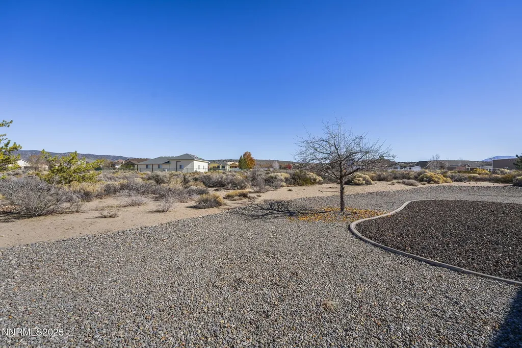 1524 Brandi Rose Minden NV 89423