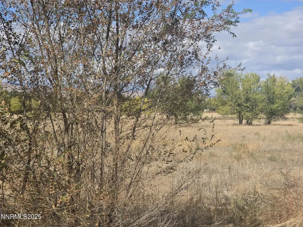 400 Bridge Yerington NV 89447