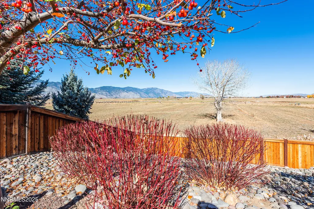 1046 Rocky Terrace Gardnerville NV 89460
