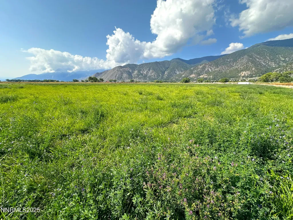 2460 Deerhaven Minden NV 89423