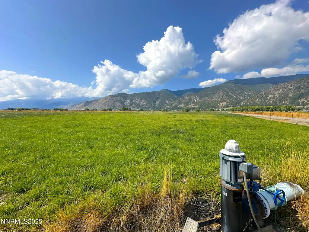 2460 Deerhaven Minden NV 89423