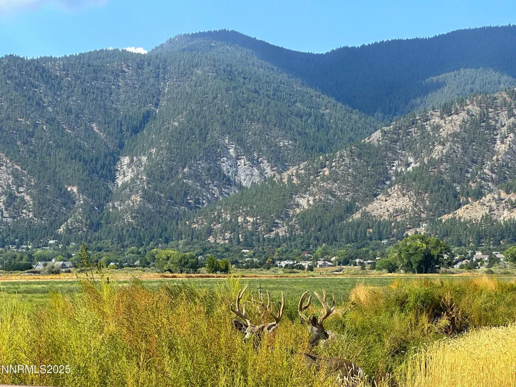 2460 Deerhaven Minden NV 89423