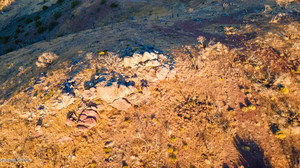 1955 Piute Creek Reno NV 89510