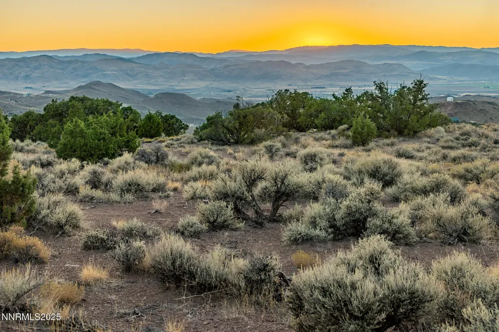 1955 Piute Creek Reno NV 89510