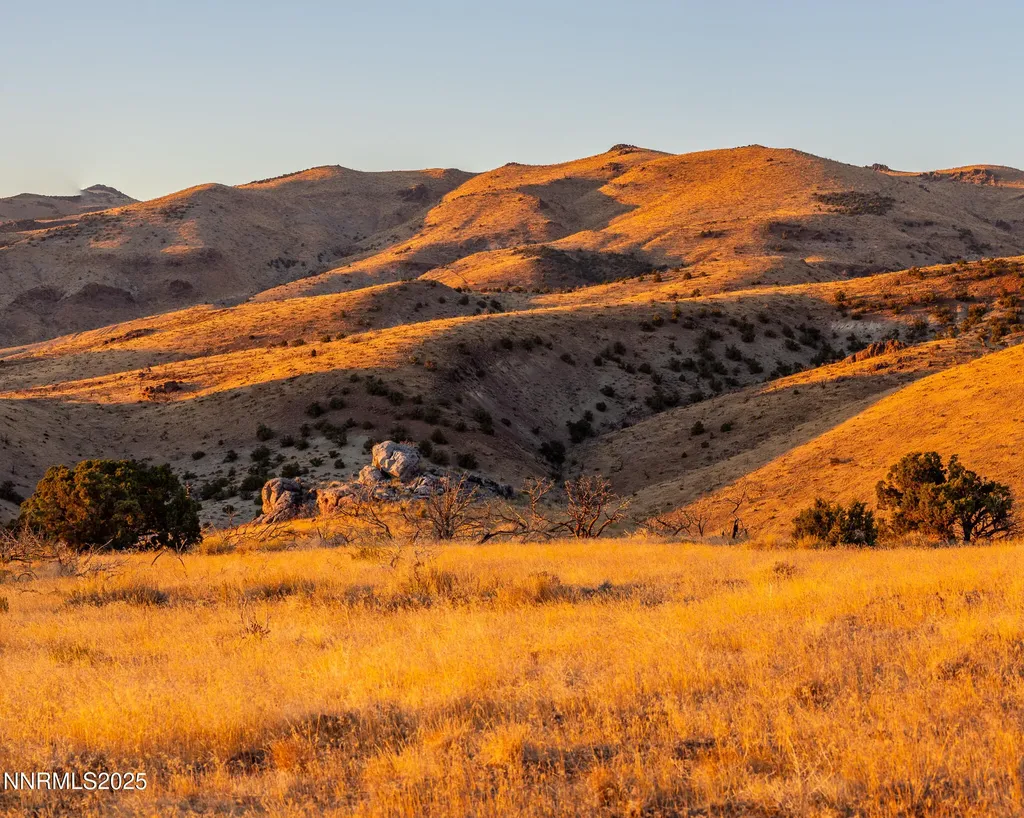 1955 Piute Creek Reno NV 89510