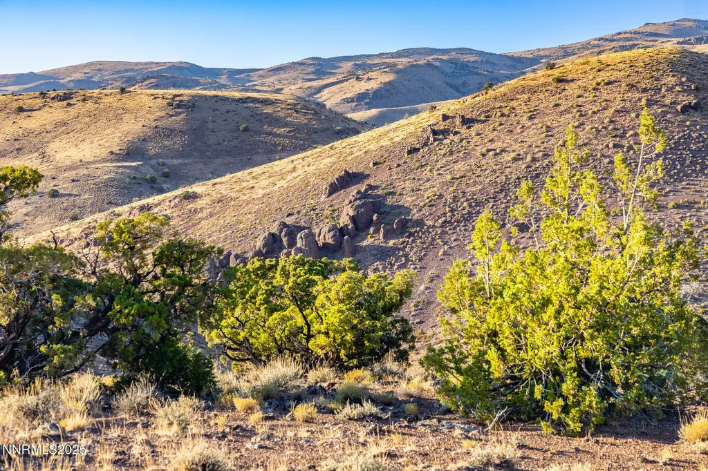 1955 Piute Creek Reno NV 89510