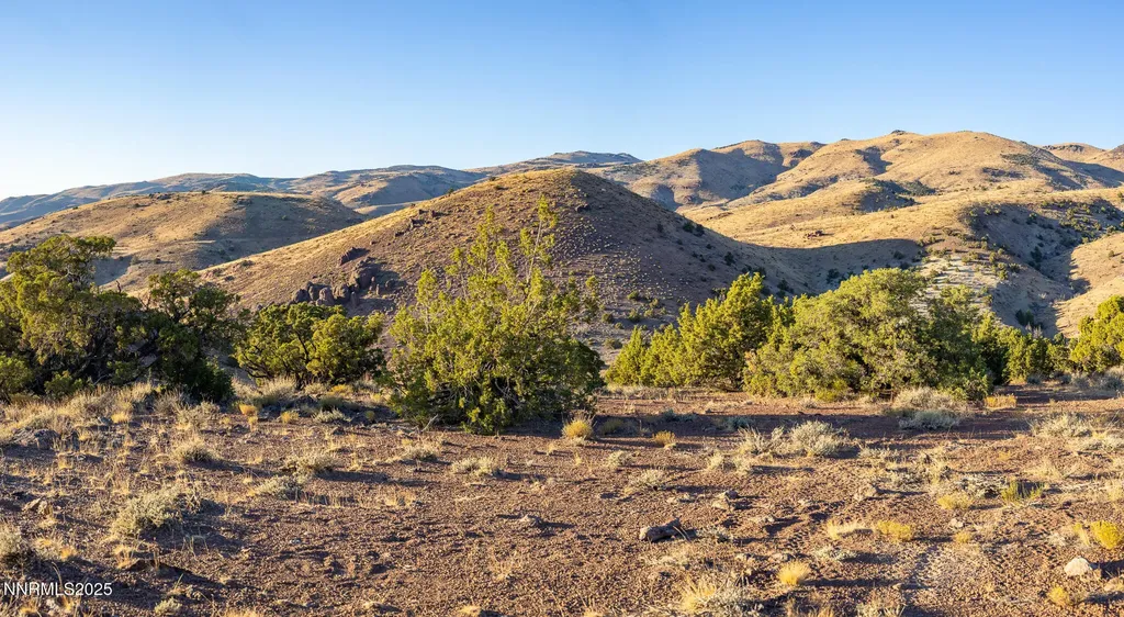 1955 Piute Creek Reno NV 89510