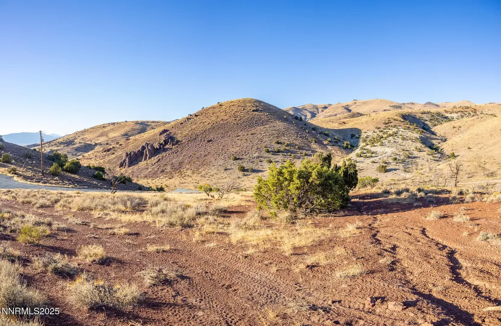 1955 Piute Creek Reno NV 89510