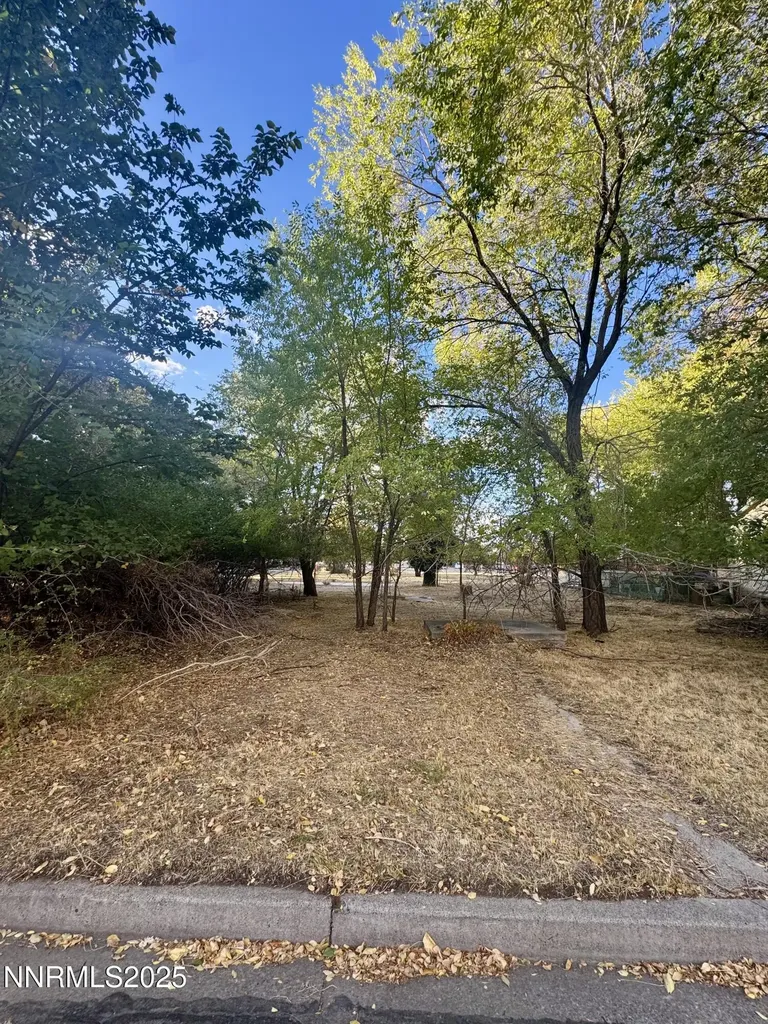 611 Proctor Carson City NV 89701
