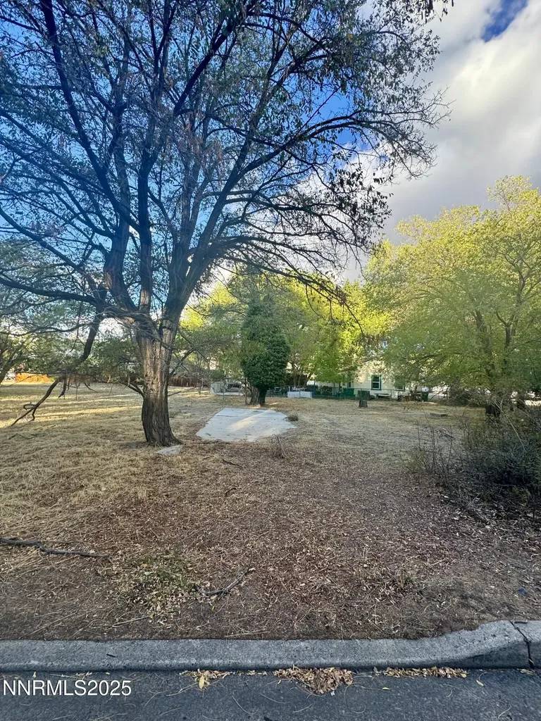 611 Proctor Carson City NV 89701