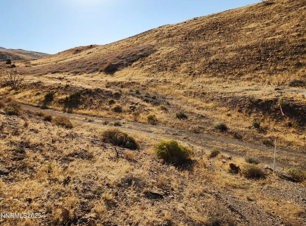 105 Stirrup Reno NV 89510