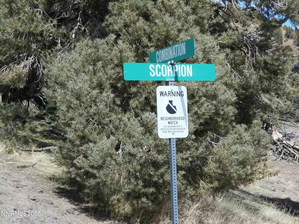 2050 Scorpion Reno NV 89521