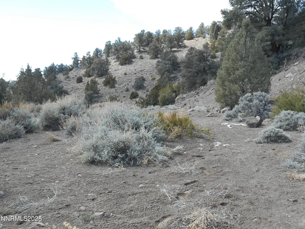 2050 Scorpion Reno NV 89521