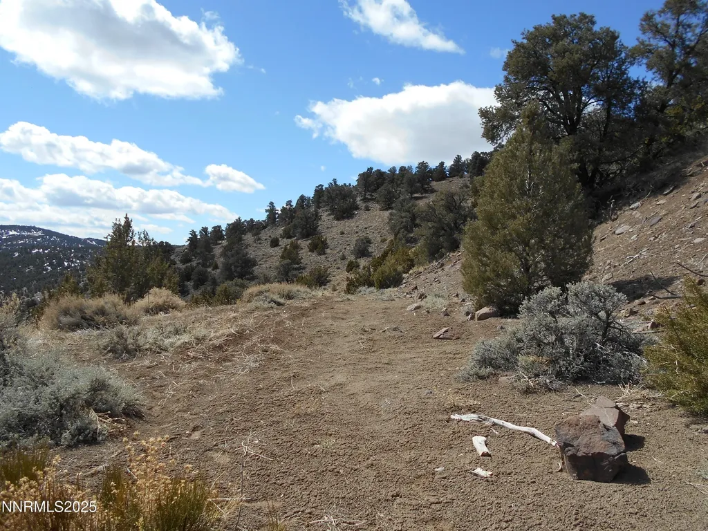 2050 Scorpion Reno NV 89521