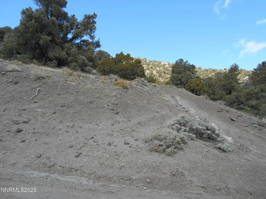 2050 Scorpion Reno NV 89521