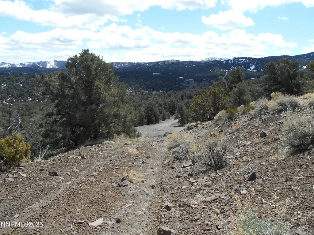 2050 Scorpion Reno NV 89521