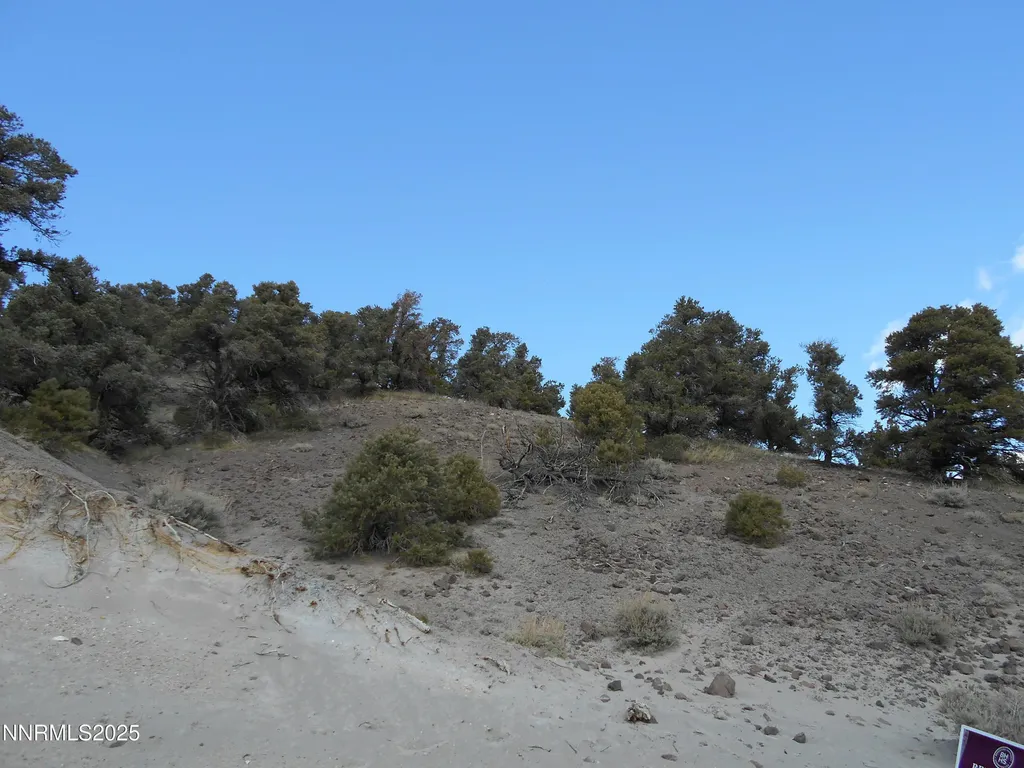 2050 Scorpion Reno NV 89521