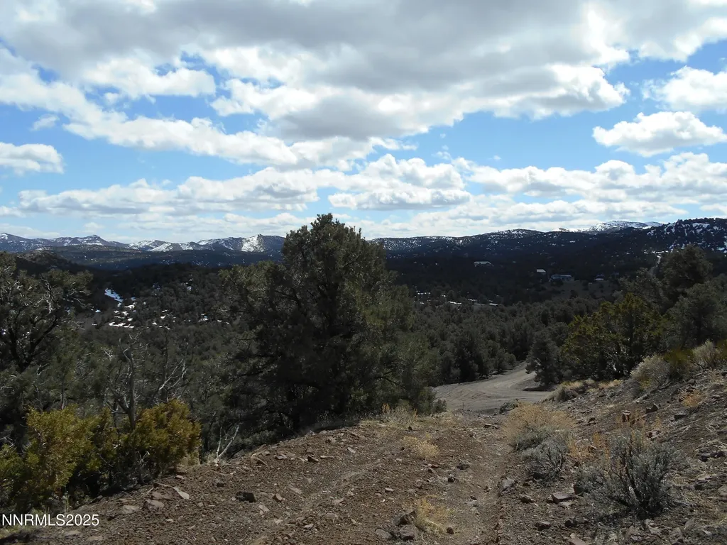 2050 Scorpion Reno NV 89521