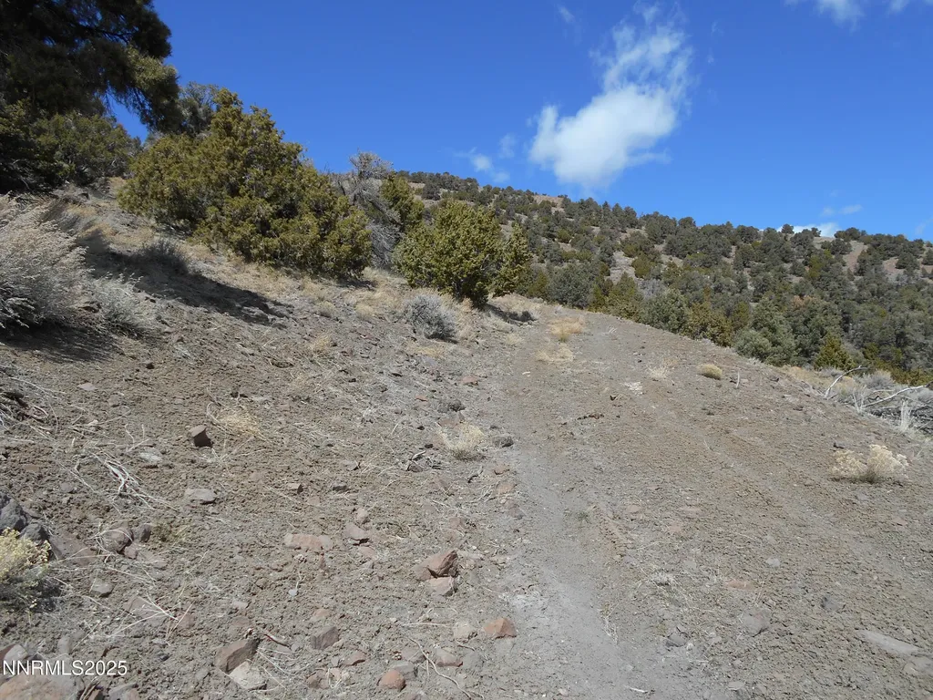 2050 Scorpion Reno NV 89521