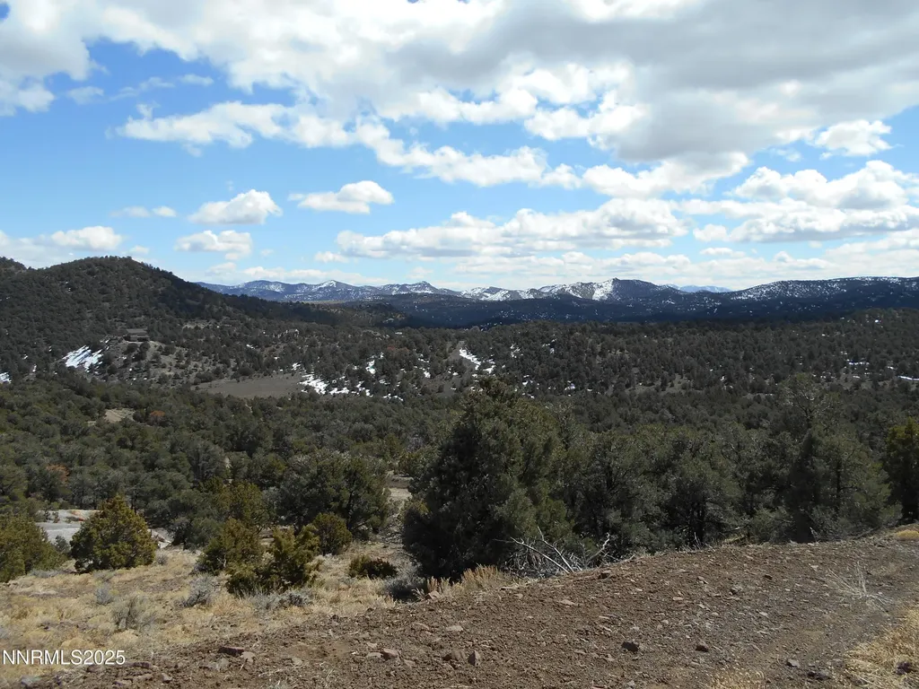 2050 Scorpion Reno NV 89521