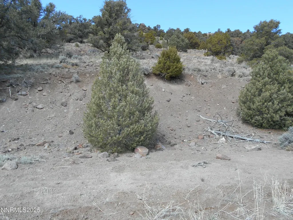 2050 Scorpion Reno NV 89521