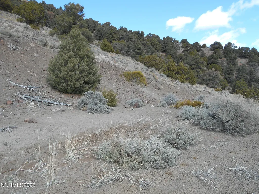2050 Scorpion Reno NV 89521