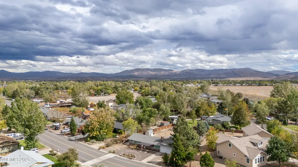 1193 Manhattan Gardnerville NV 89460