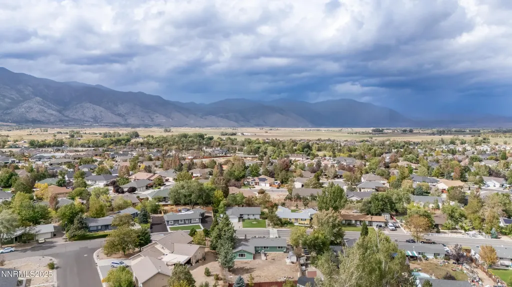 1193 Manhattan Gardnerville NV 89460